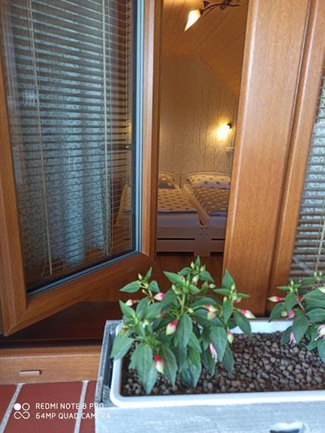 Sklipek U Svobodu Guest House Velke Bilovice Exterior photo